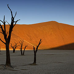 album "Namibia. Desert Namib."