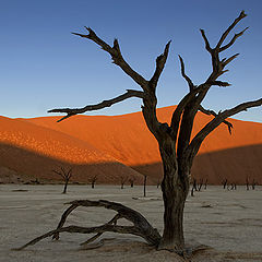 photo "Valley of Sosuss."