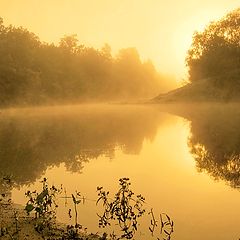 фото "Золотое утро"