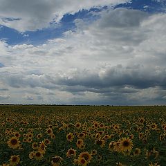 фото "Под облаками"