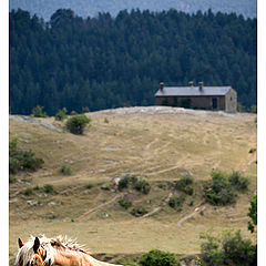 photo "Somewhere in the Pyrenees..."