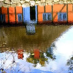 фото "Reflection."