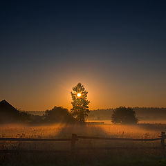 фото "The Lighthouse"