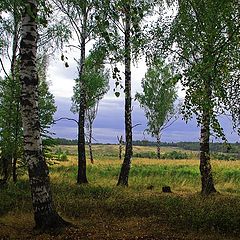 фото "Осенний этюд"