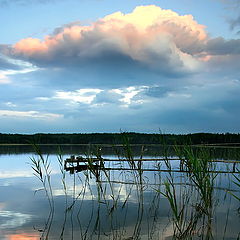 фото "Вечерний румянец"