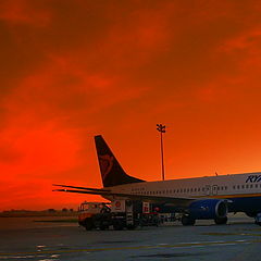 photo "Jet (sun) set"