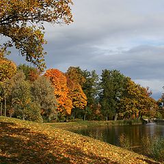 photo "Pictures of autumn"