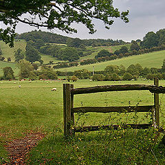 photo "Relaxation of nature or the nature of relaxation"