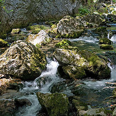 photo "Making the way through stones"