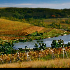 photo "Moldova - Stolnicen"