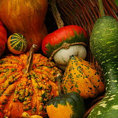 photo "Pumpkins"