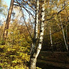 фото "Кусково"