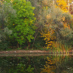 photo "тут живет осень"