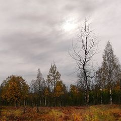 фото "Поздняя осень"