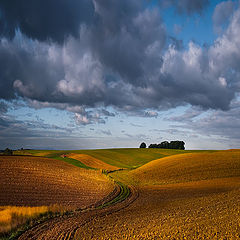 photo "Autumn Morning"