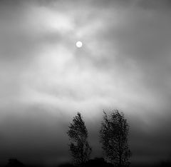 фото "Утренний туман октября"