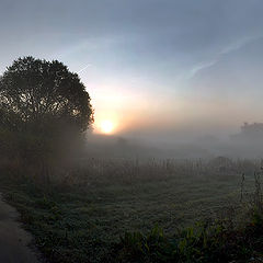 photo "At a country road."