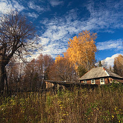 фото "Затерянный в лесу"