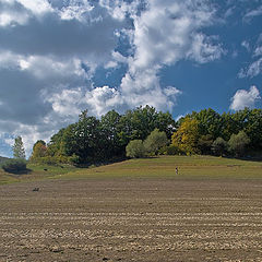 photo "Parched Earth"