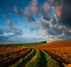 photo "Autumn colours"