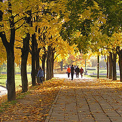 photo "Gold avenue."