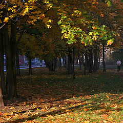 photo "On the roads of autumn"