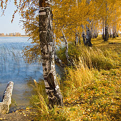 фото "У осени на берегу # 2"