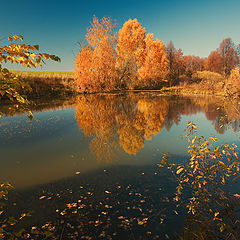 фото "Осенний прудик"