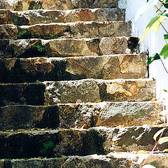 фото "another old stair"