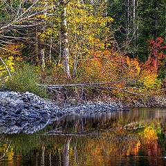photo "Water of the fall colors"