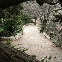 photo "fairyland trail"