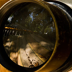 photo "A Memory of a Distant Summer in the Coutryside"