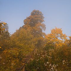 фото "Лестница в осень..."