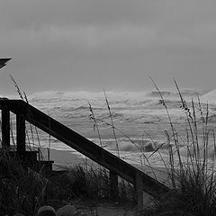 photo "In search of a Storm"