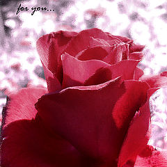 фото "for you..."