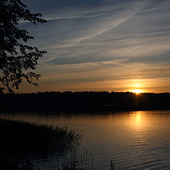 photo "***"