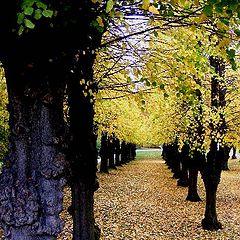 фото "Autumn in colour."
