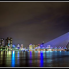 фото "Erasmusbrug"