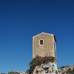 photo "Blue and White"