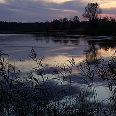 photo "Evening, almost night..."