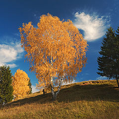 фото "Краски осени"