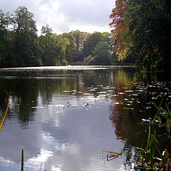 фото "beginning Autumn"