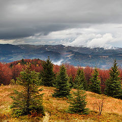 photo "after rain..."