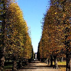 фото "Autumn in colour."