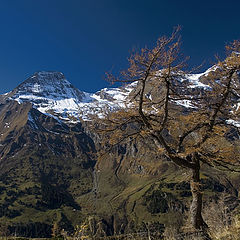 фото "Autumn in mountains"