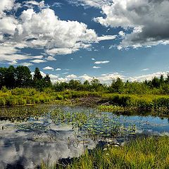 фото "Летний пейзаж"