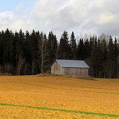 фото "Финляндия, октябрь"