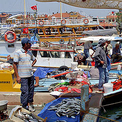 photo "Fish sellers of Turkey"