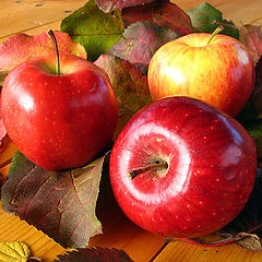 photo "The Apples in a Leaves"