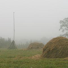 photo "***"